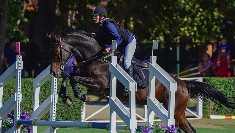 ¡Celeste Ivanschitz, la Amazona Chilena que Conquista el Mundial de Clubes de Salto Ecuestre!