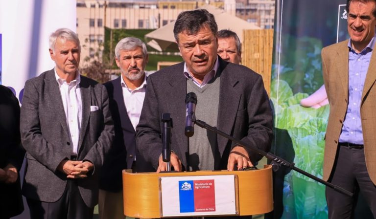 ¡Descubre cómo Chile está revolucionando el mundo del vino con nuevas variedades y denominaciones de origen!