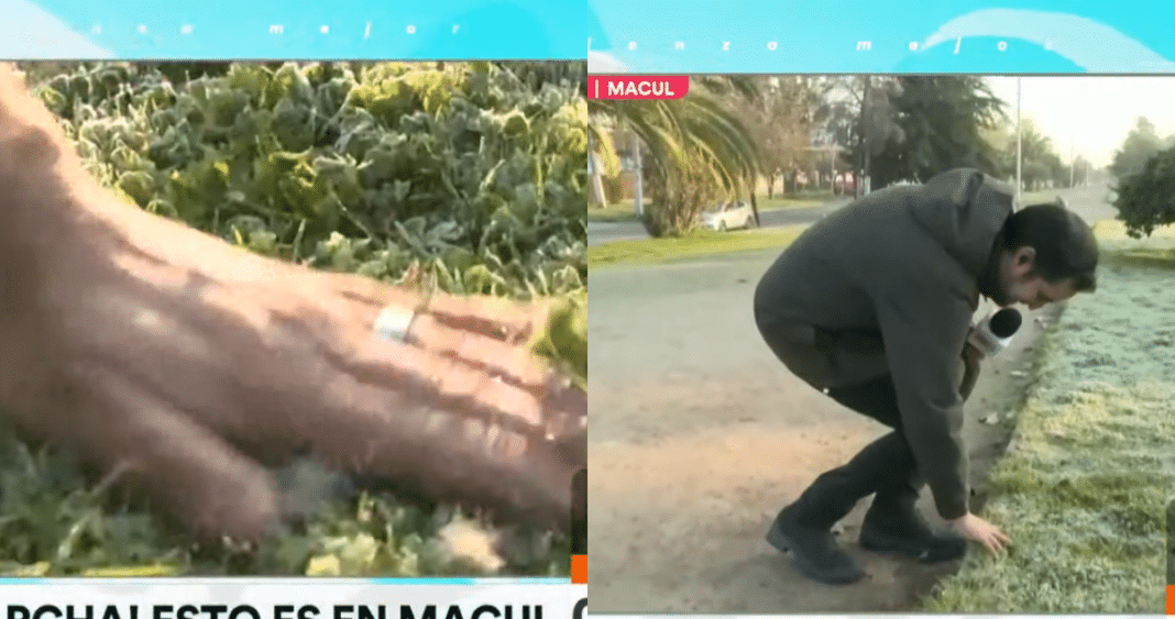 ¡Periodista de Canal 13 Pierde su Anillo de Compromiso en Vivo! ¿Será el Fin de su Matrimonio?