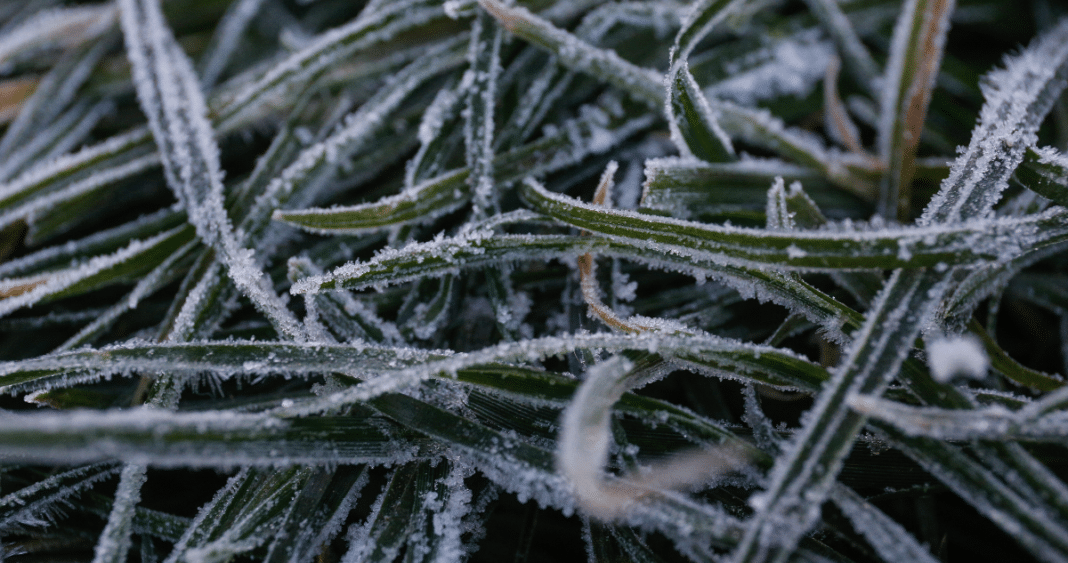 ¡Prepárate para Enfrentar el Frío Extremo en el Bío Bío: Temperaturas Bajo Cero y Más!