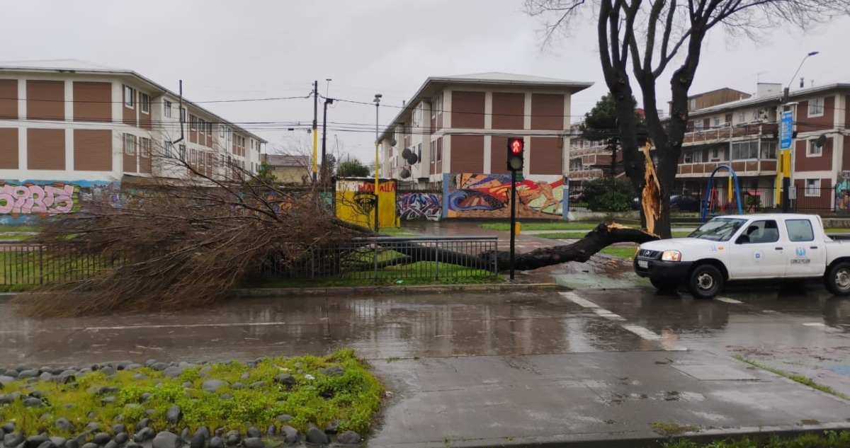 ¡Alerta Roja en Bío Bío! Senapred declara emergencia por intensas lluvias y vientos devastadores