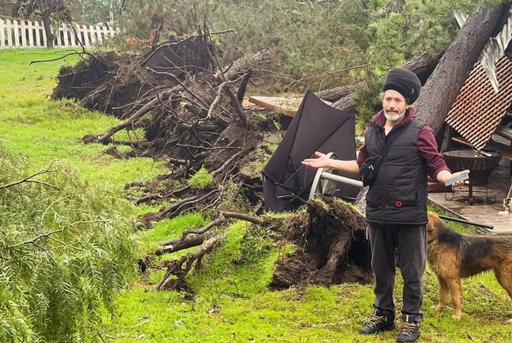 ¡Devastador! Árbol gigante se derrumba sobre la casa del cantante Quique Neira en Batuco