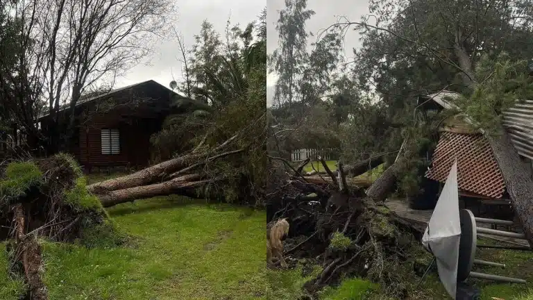 ¡Devastador sistema frontal azota la casa del cantante chileno Quique Neira!