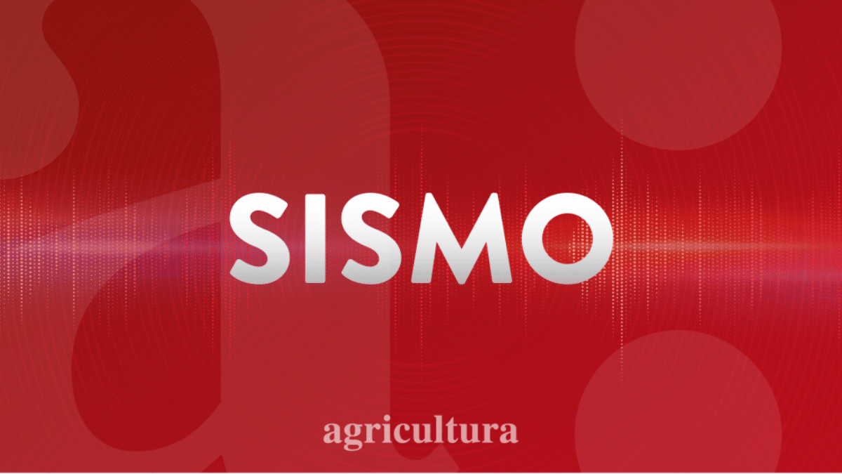 ¡Temblor en Atacama y Coquimbo: SHOA descarta tsunami, pero ¿qué más sabemos?