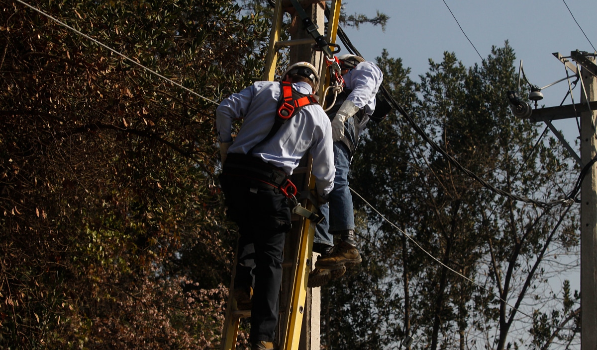 ¿Debería el Estado Controlar la Distribución Eléctrica? Experto Analiza los Pros y Contras