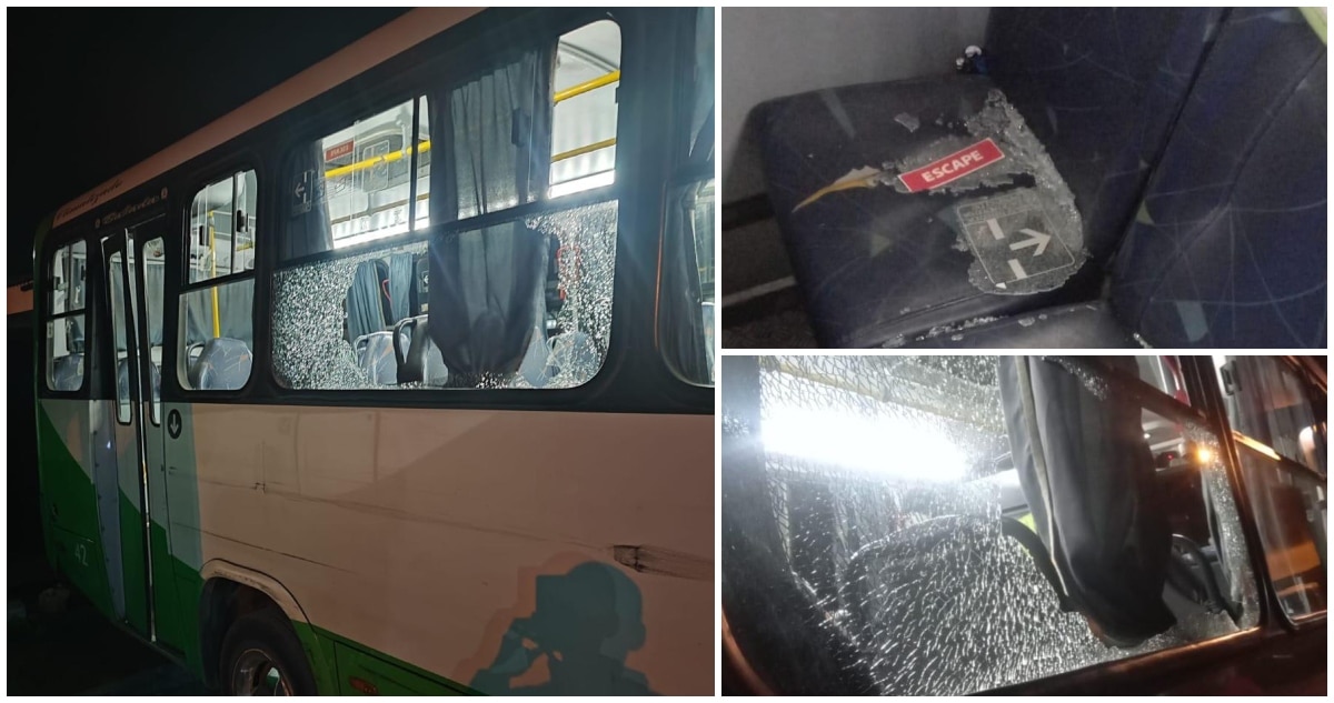 Ataques Violentos a Buses en Viña del Mar: Una Amenaza Creciente para la Seguridad Pública