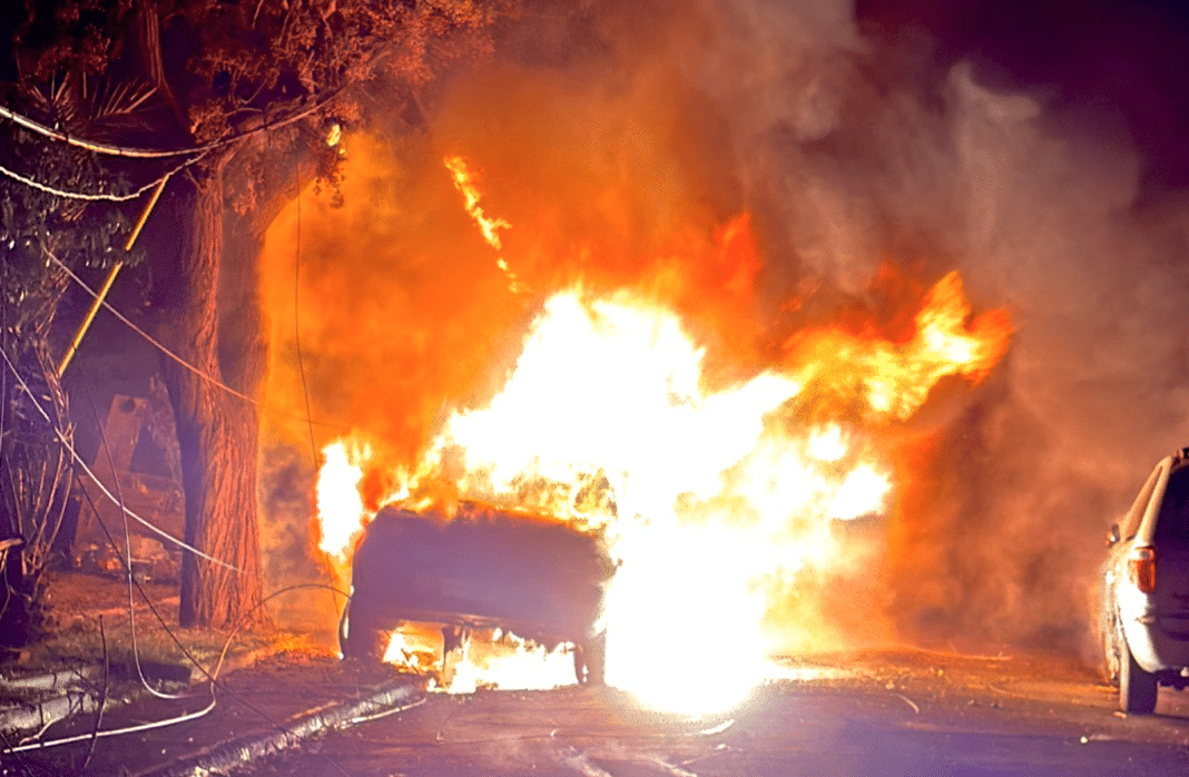 Macul en Llamas: Árbol Cae y Provoca Devastador Incendio