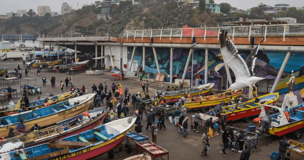 Robo Audaz en Caleta Portales: Pescadores Víctimas de Corte de Luz y Violencia