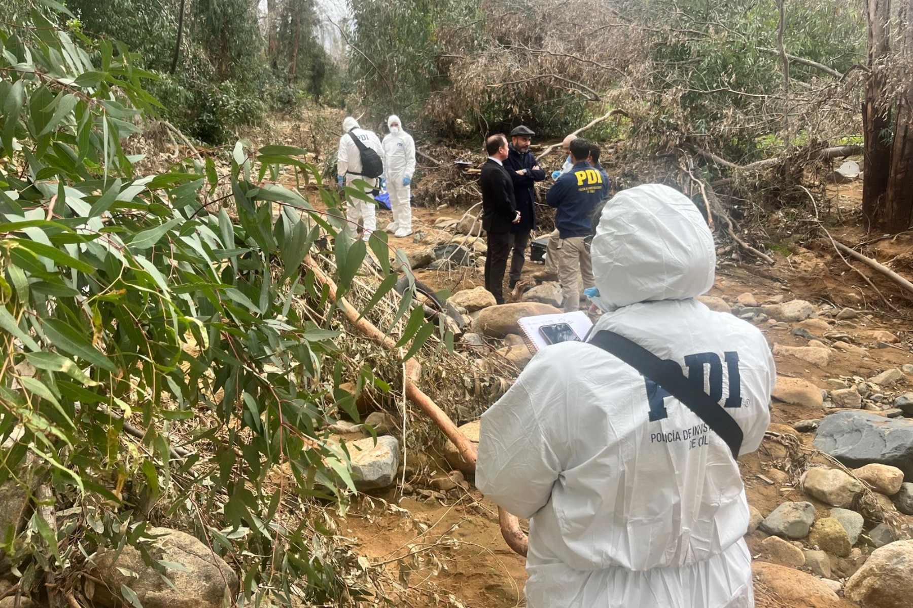 Trágico Hallazgo: Mujer Desaparecida Encontrada Muerta en Villa Alemana