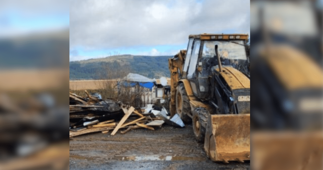 ¡Alerta! Gobierno de Chile Intensifica Lucha por Proteger los Humedales de Valdivia