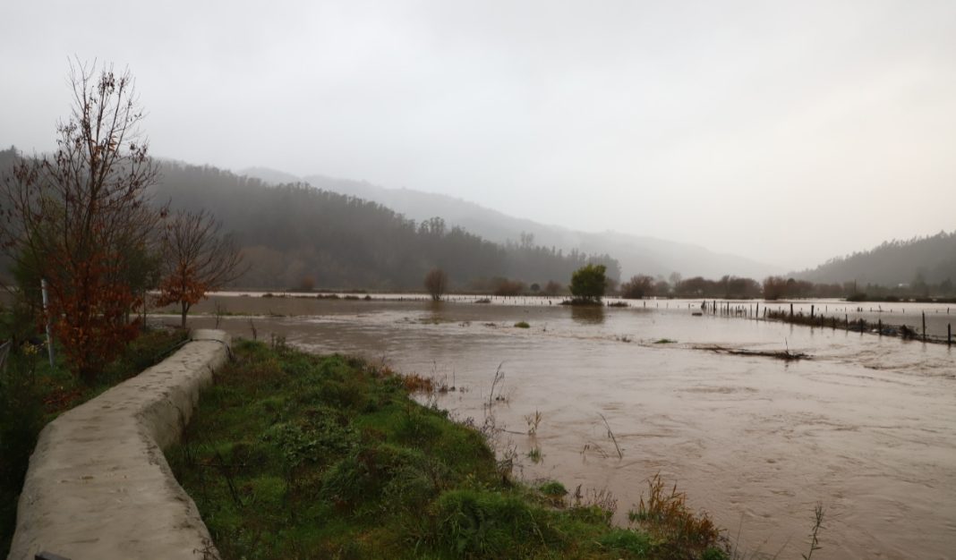 ¡Alerta máxima en Arauco! Senapred ordena evacuación urgente por desborde del río Pichilo