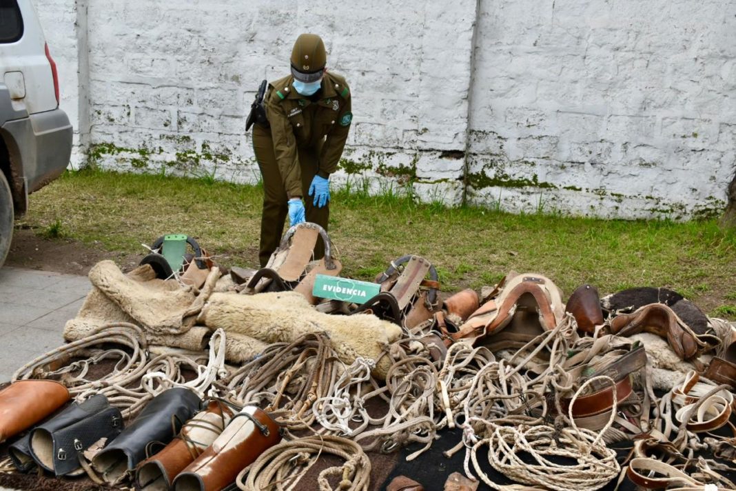 ¡Carabineros Detienen a Peligrosa Banda Delictiva y Recuperan Millonario Botín!