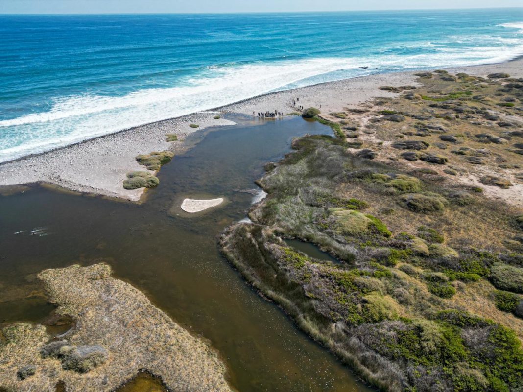 ¡Descubre la Joya Ecológica de Chile: La Desembocadura del Río Loa se Convierte en Santuario de la Naturaleza!