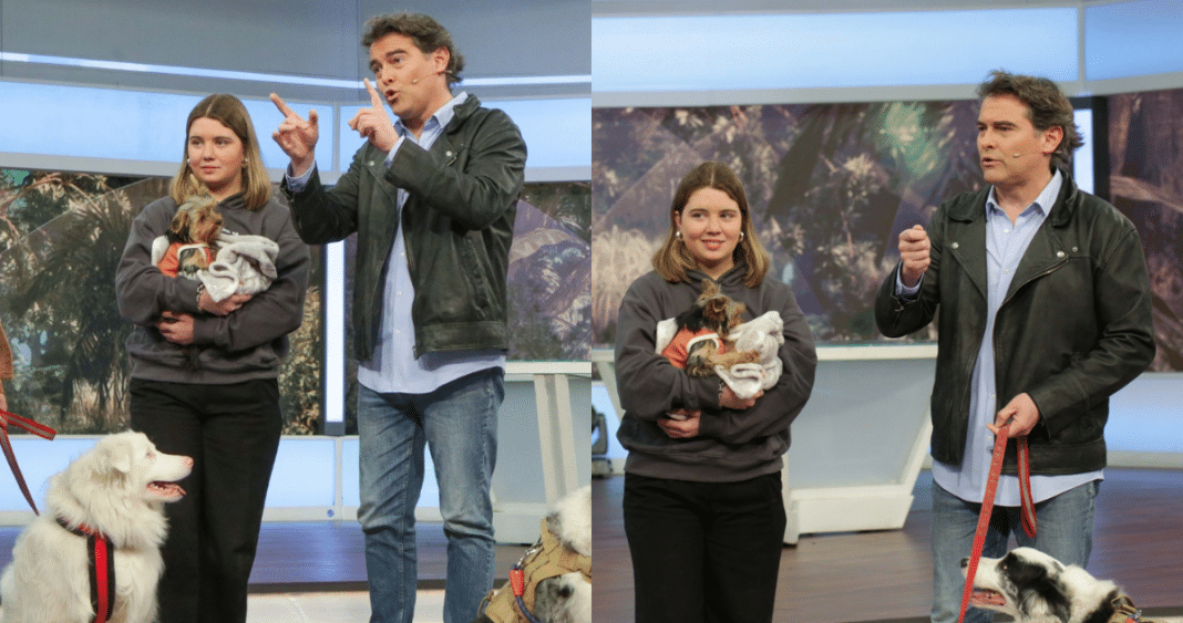 ¡Sebastián Jiménez, el Veterinario Estrella, Regresa a la Televisión Chilena!