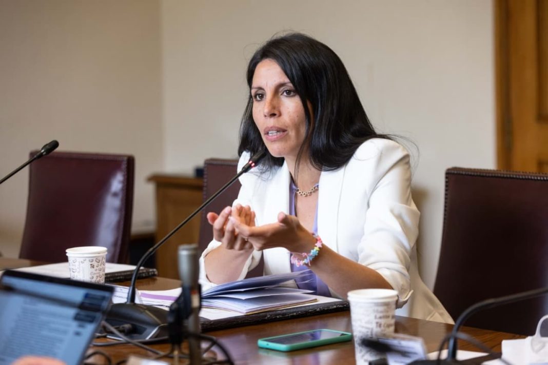 ¡Senadora Gatica Propone Solución Definitiva a los Cortes de Luz Recurrentes!