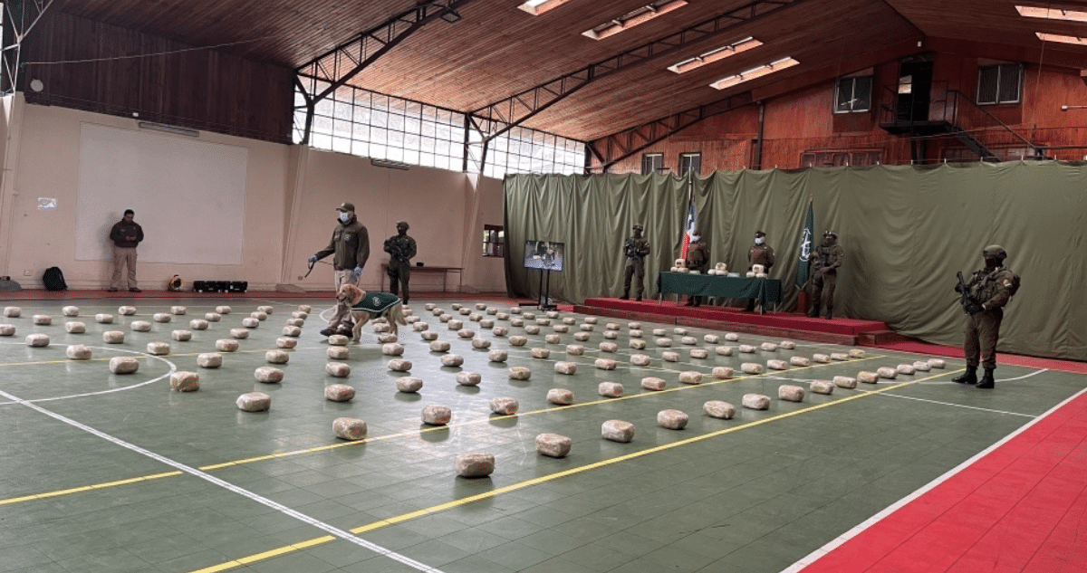 ¡Golpe Contundente al Narcotráfico en La Araucanía: Carabineros Incautan 161 Kilos de Marihuana Antes de Fiestas Patrias!