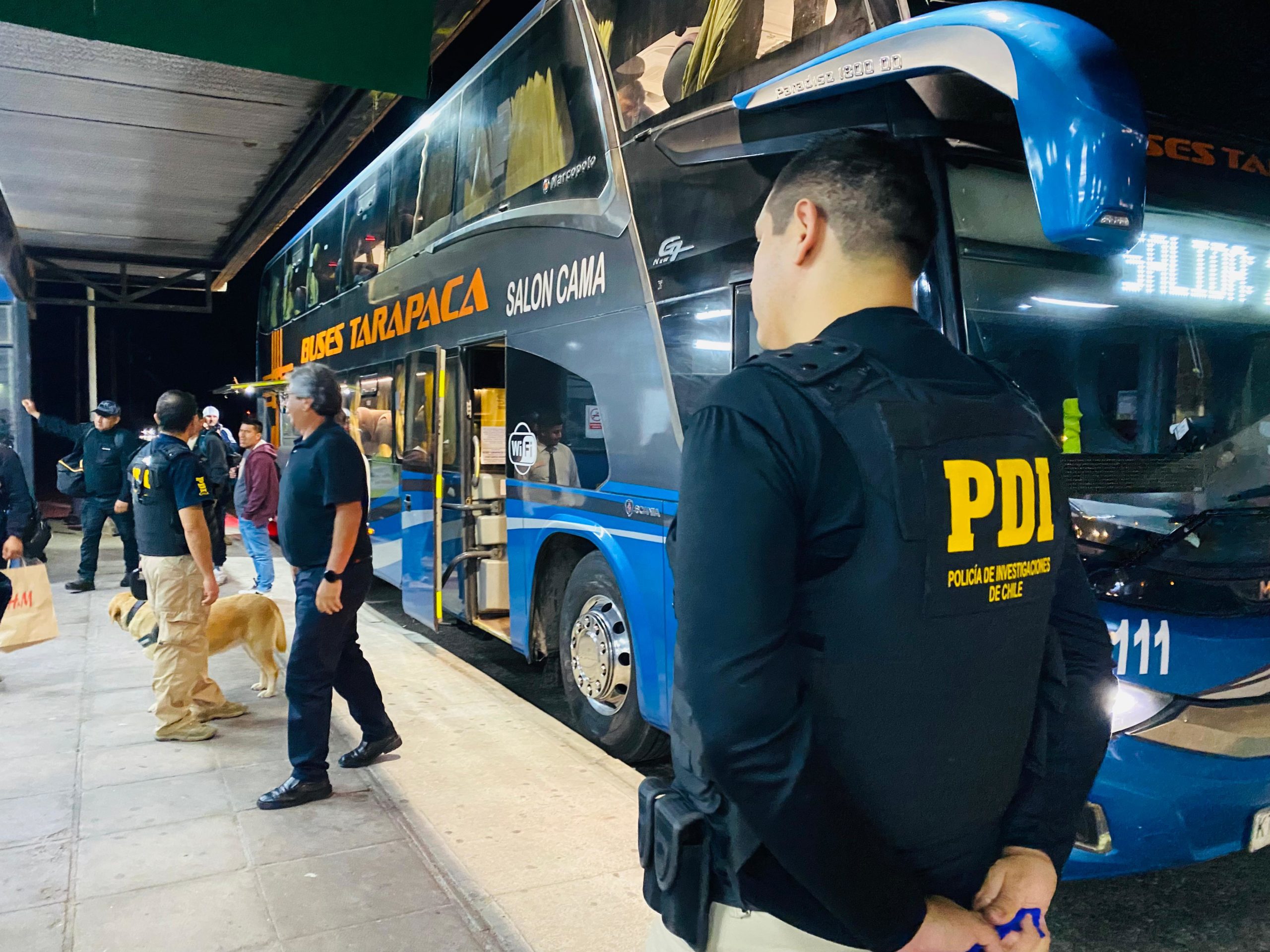 Anciana de 73 Años Víctima de Robo con Intimidación en Arica: Tres Peruanos Detenidos