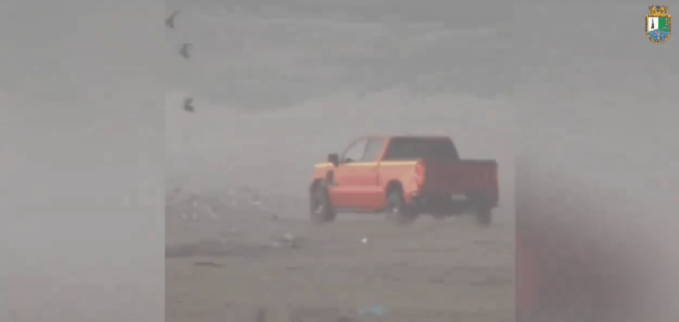 Armada de Chile Toma Acción Contra Conductor Acusado de Matar Aves Marinas en Ritoque