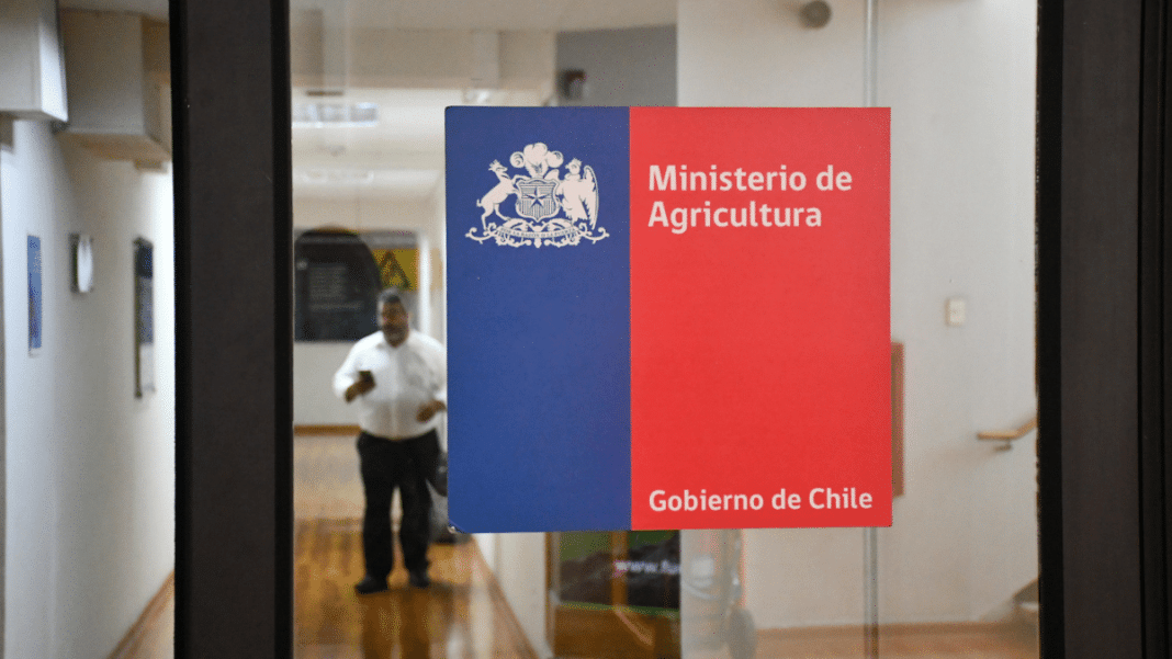 Cómo el Gobierno de Chile Está Respondiendo a la Emergencia Agrícola por Nevazones en la Región de Los Lagos