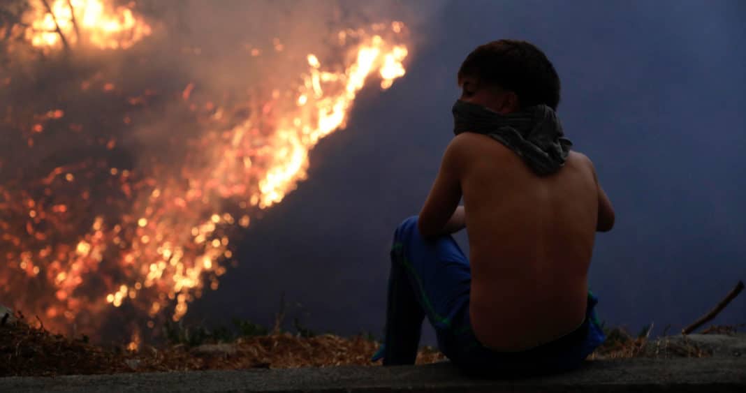 Detenido por Iniciar Devastador Incendio Forestal en Quito: La Lucha por Salvar la Capital de Ecuador