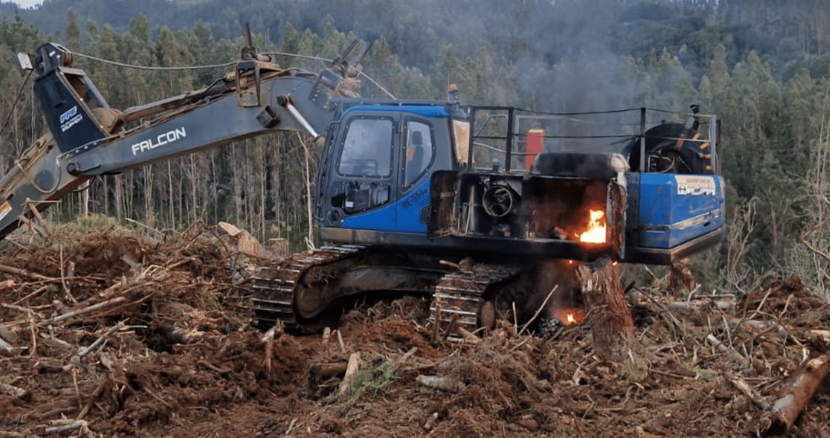 Devastador Ataque Incendiario Sacude el Corazón de la Industria Forestal: CMPC Enfrenta Pérdidas Millonarias