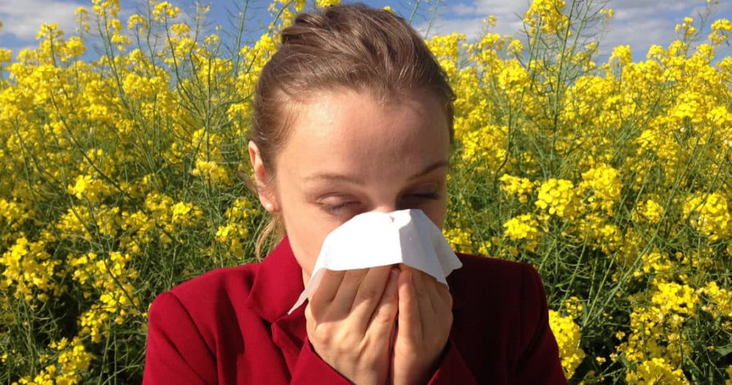 ¡Adiós a las Molestas Alergias de Primavera en Chile! Descubre Cuándo Termina este Suplicio