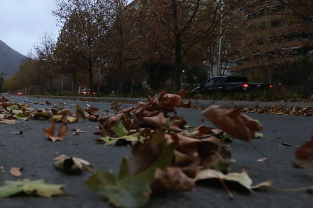 ¡Alerta de Viento en el Norte de Chile! Prepárate para Enfrentar las Poderosas Ráfagas