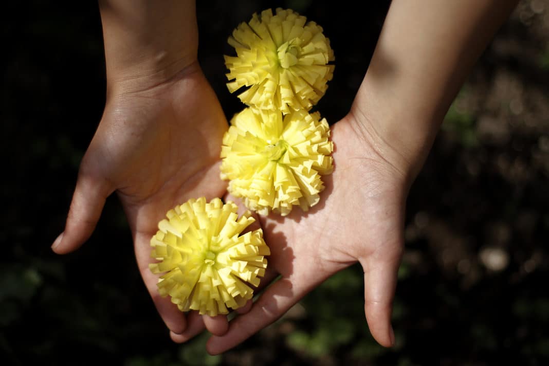 ¡Descubre el Significado Oculto de Regalar Flores Amarillas el 21 de Septiembre!