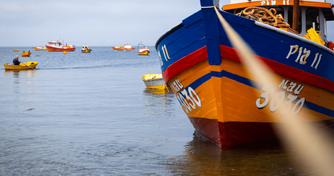 ¡Pescadores Artesanales se Unen a la Industria para Detener el Proyecto de Nueva Ley de Pesca!