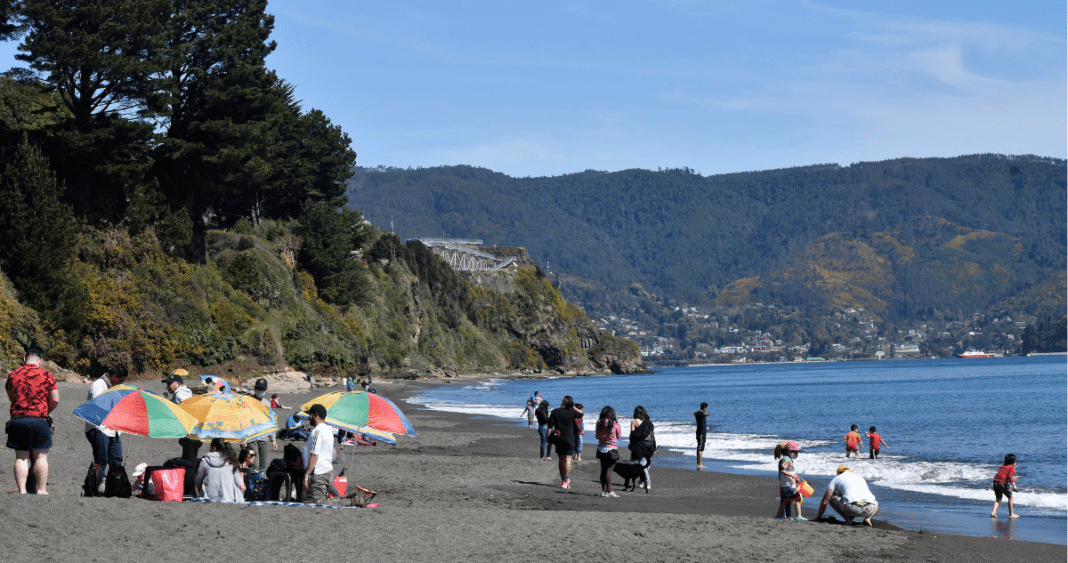 ¡Valdivia Prepara una Transformación Épica de su Playa Grande de Niebla!