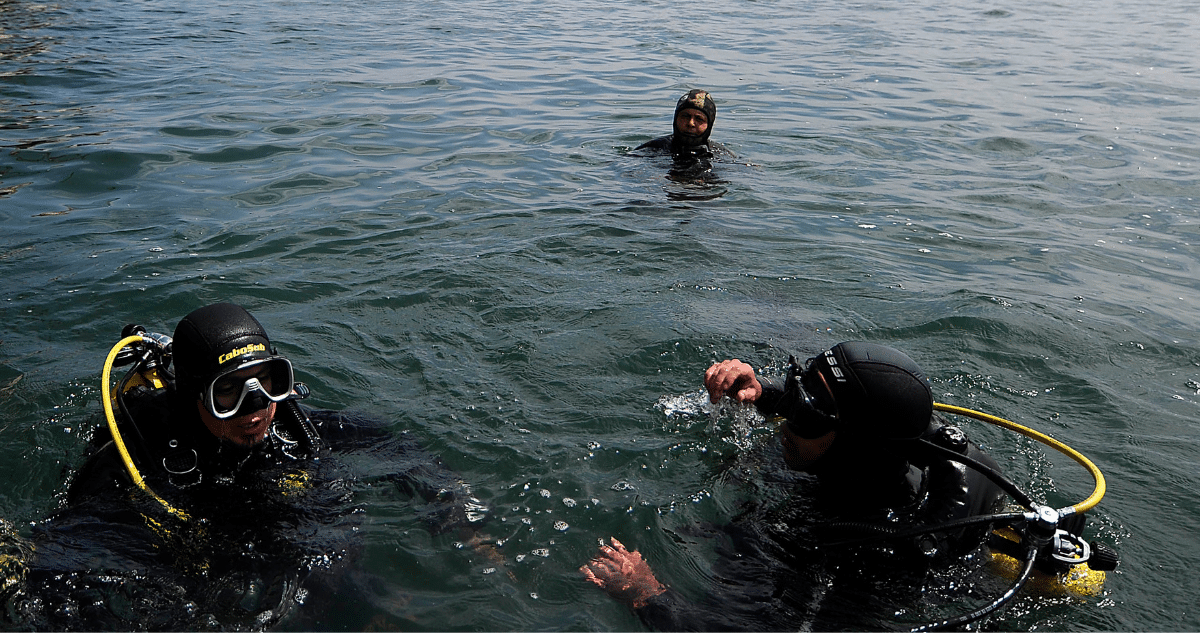 ¡Buzos Nacionales Triunfan! Gobierno de Los Lagos Elimina Autorización para Contratar Extranjeros en Buceo Profesional