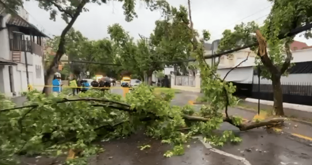 ¡Caos en la Región Metropolitana: Apagones y Árboles Caídos Tras la Tormenta!