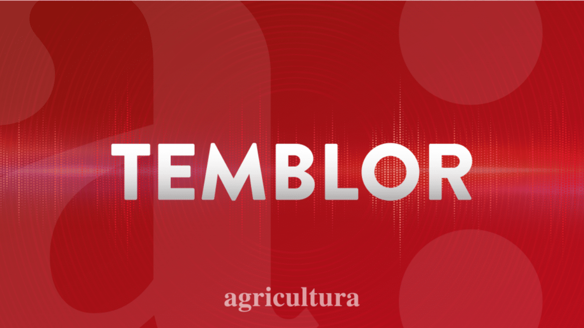 ¡Temblor en Coquimbo! Descubre la Intensidad y el Epicentro del Sismo