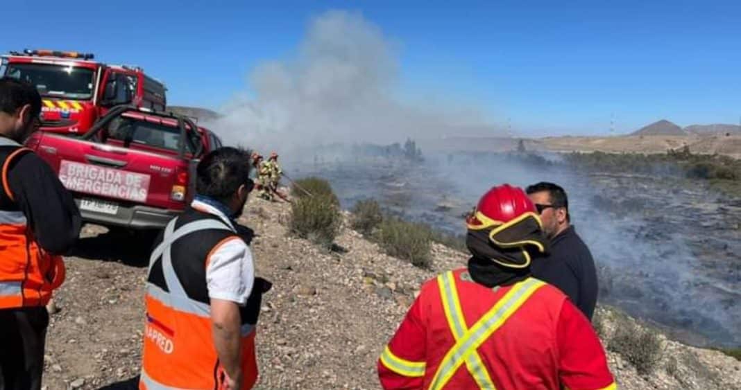 Alerta Roja en Freirina: Combate Intenso Contra el Devastador Incendio Forestal