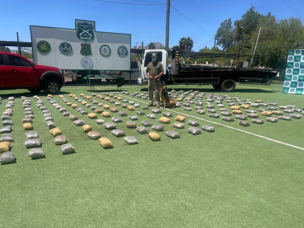 Carabineros Dismantles Foreign Drug Trafficking Ring, Seizing Over 246 Kilos of Narcotics in Atacama