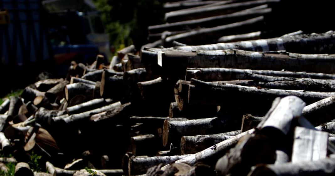 Descubren Robo Masivo de Madera en La Araucanía: Dos Hombres Detenidos