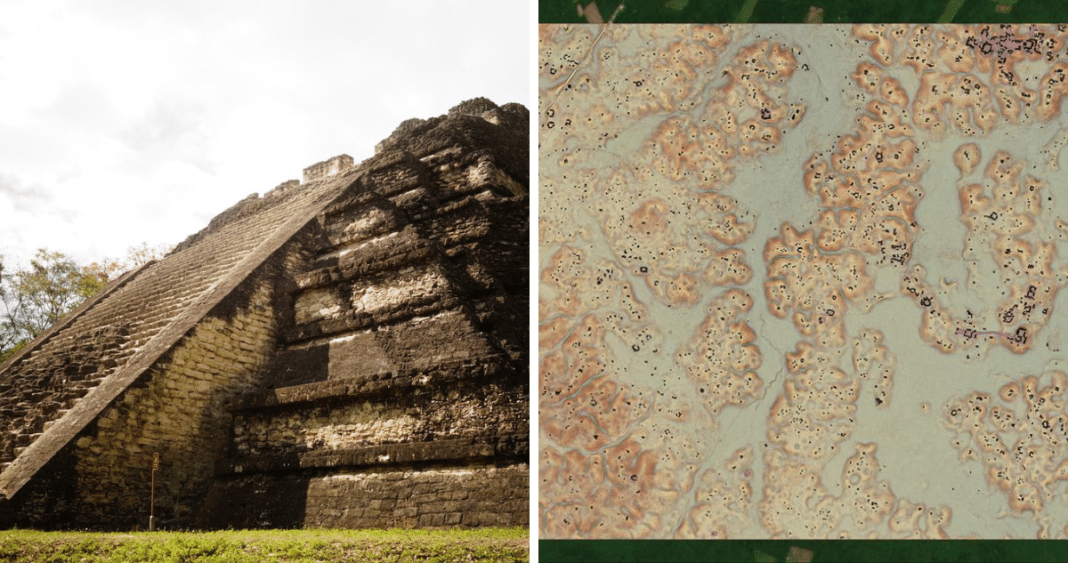 Descubrimiento Asombroso: Estudiante Revela Impresionante Ciudad Maya Oculta en México