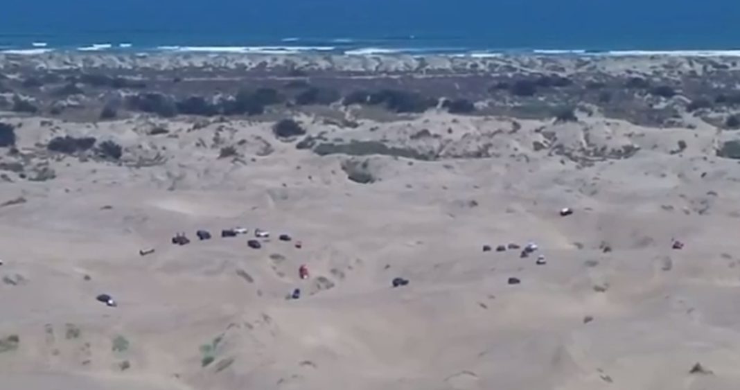 Devastación en las Dunas de Quintero: Vehículos Causan Estragos en el Delicado Ecosistema