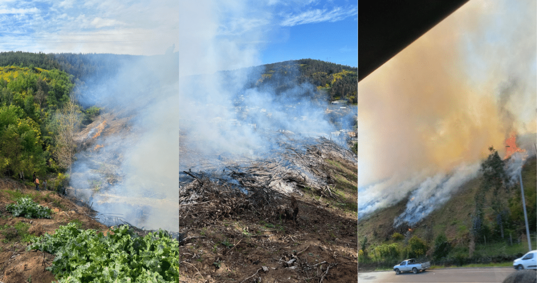 Devastador Incendio Forestal: Cuando la Quema Autorizada se Convierte en una Pesadilla