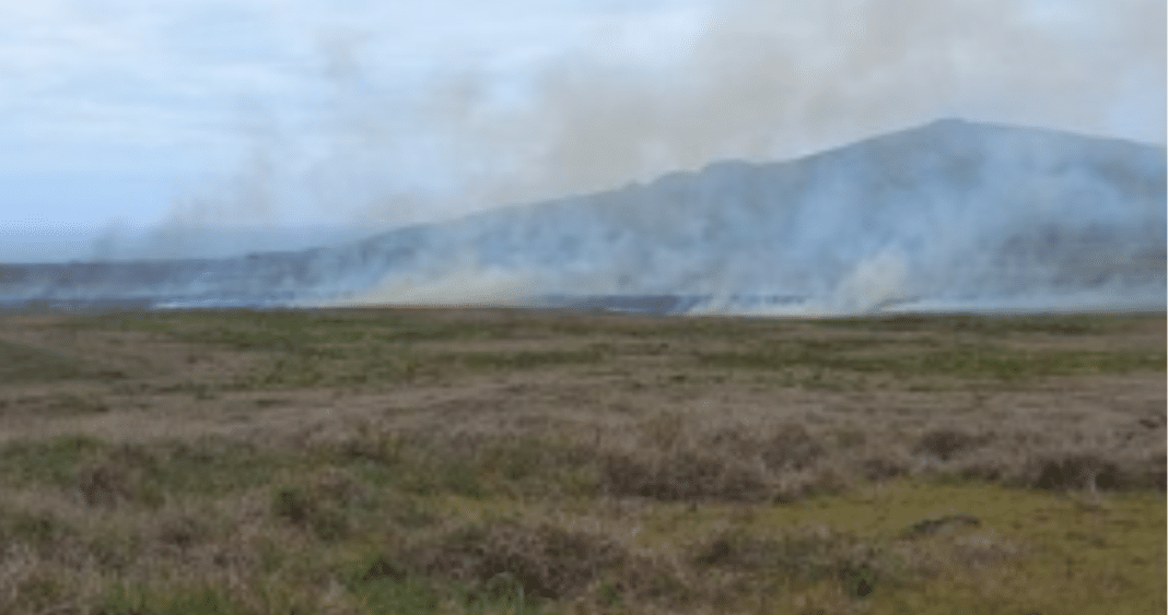 Devastador Incendio Forestal en Isla de Pascua: Autoridades Luchan por Contener las Llamas y Proteger el Patrimonio Arqueológico