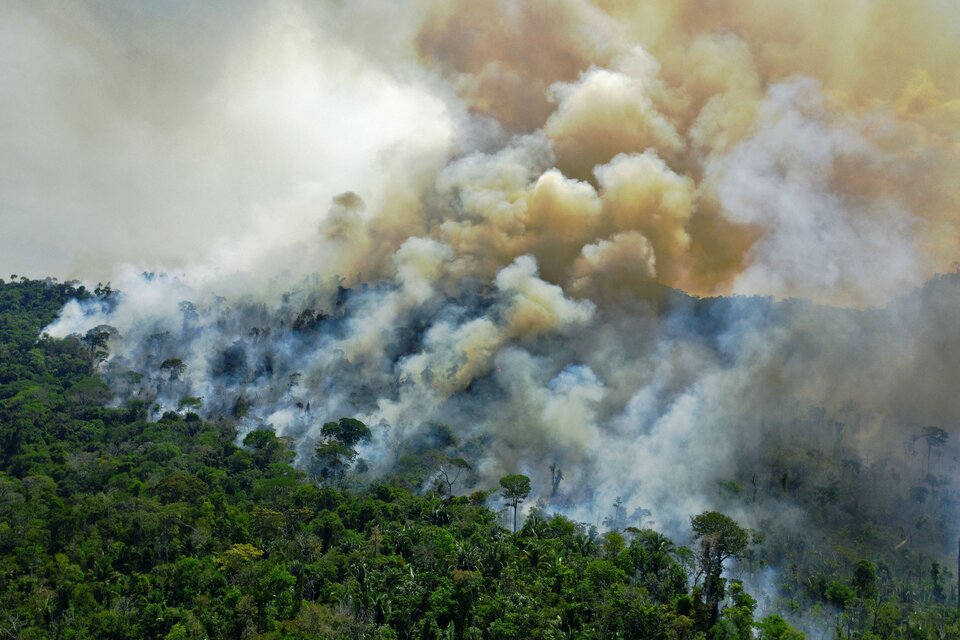 Incendios Devastadores en Bolivia: CONAF Envía Helicóptero para Combatir la Emergencia