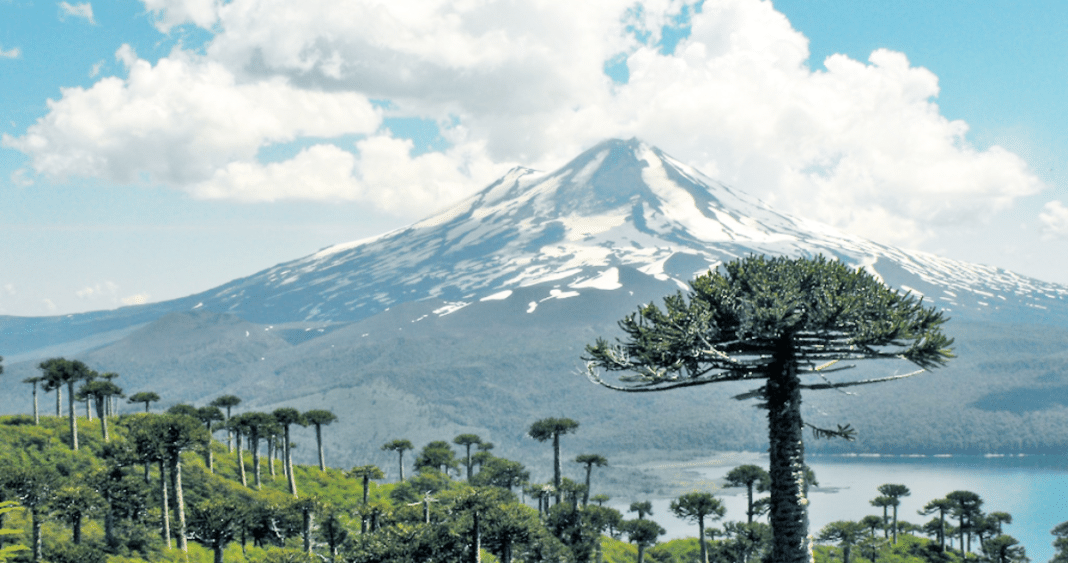 Rescate Heroico en el Volcán Llaima: Cuatro Mujeres Sobreviven a Caída de 200 Metros