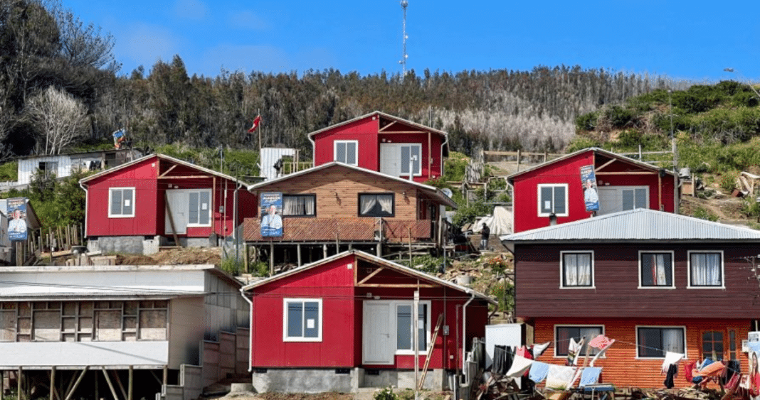 Resurgiendo de las Cenizas: La Reconstrucción de Punta Lavapié Tras el Devastador Incendio