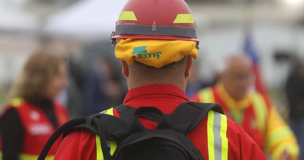 Valparaíso en llamas: Cómo los bomberos y Conaf lograron controlar el devastador incendio forestal