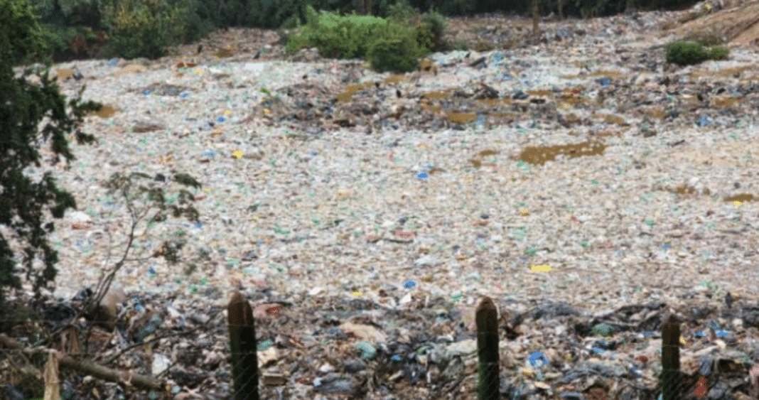 ¡Alerta Sanitaria en el Vertedero Morrompulli: Autoridad Toma Acción Inmediata!