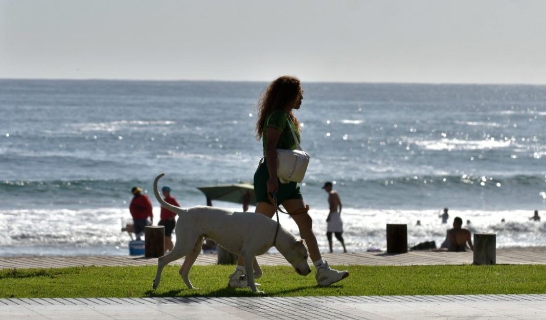 ¡Descubre las Joyas Costeras de Chile: Las 3 Playas Más Espectaculares Según la IA!