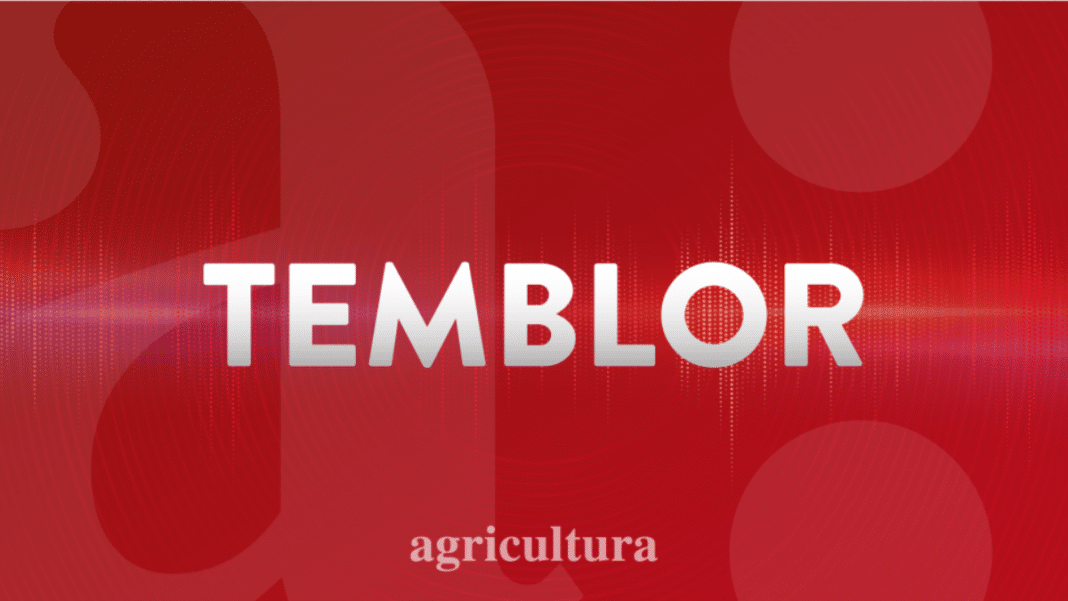 ¡Sacudido por la Tierra! Temblor sorprende a la Región Metropolitana