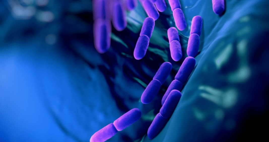 8 Superbacterias Mortales: La Amenaza Creciente de la Resistencia Antibiótica