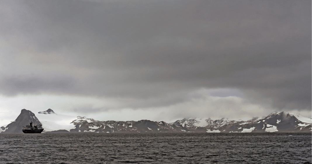 Alerta Antártica: Olas de Calor Marinas Amenazan Ecosistema Único