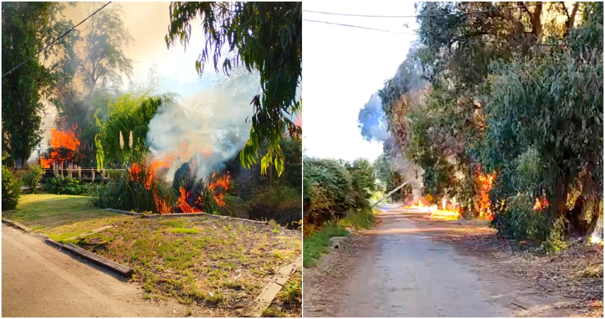 Alerta Roja en Colina: Combate Intenso Contra Incendio Forestal Amenazante